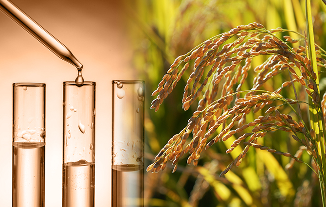 [Fine Chemicals] Technologies that Save Crops 